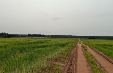 Fazenda para venda em Avaré