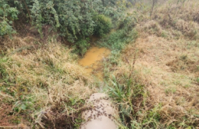 Fazenda para venda em Botucatu
