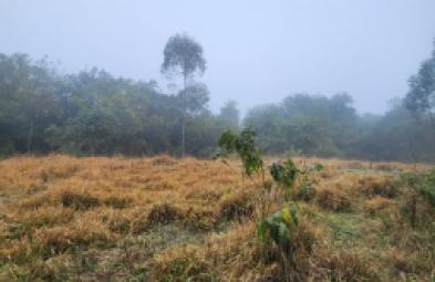 Fazenda para venda em Botucatu
