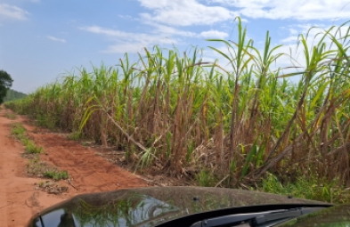 Fazenda para venda em Avaré