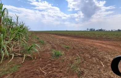 Fazenda para venda em Avaré