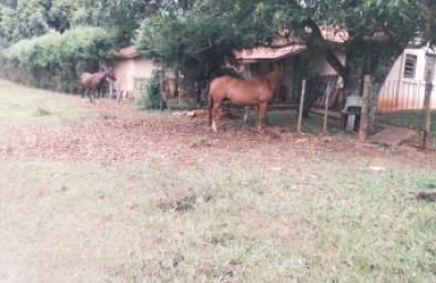 Fazenda para venda em Avaré