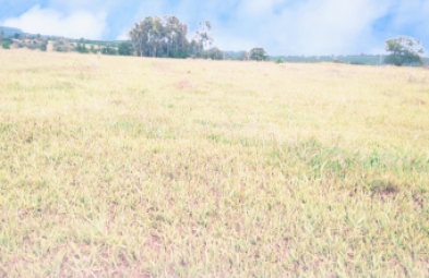 Fazenda para venda em Avaré