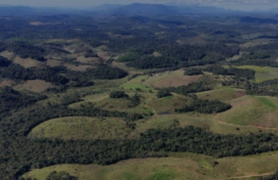 Fazenda para venda em Registro