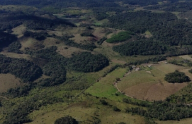 Fazenda para venda em Registro