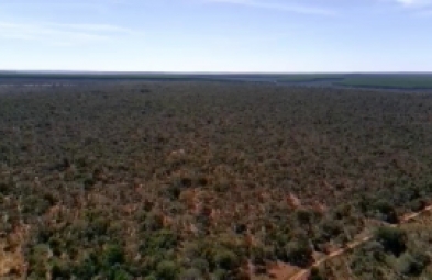Fazenda para venda em Três Marias