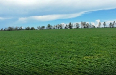 Fazenda para venda em Avaré