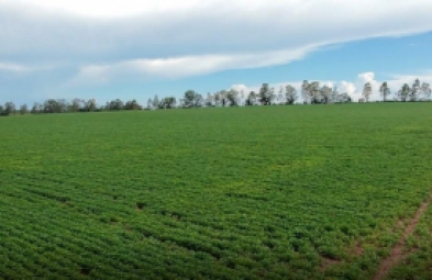 Fazenda para venda em Avaré