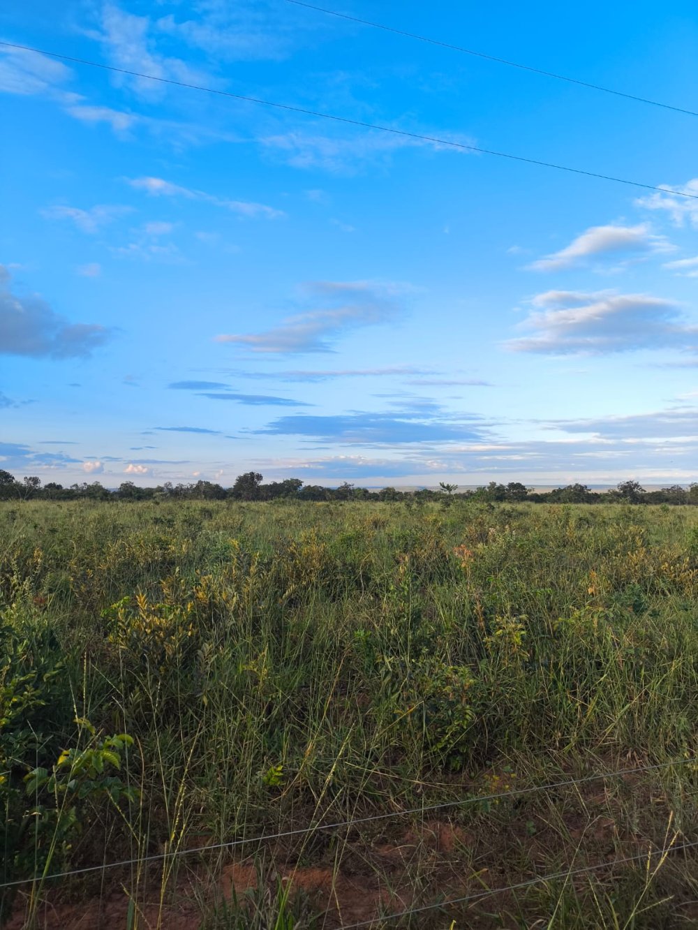 Fazenda - Venda - Rural - Tres Marias - MG