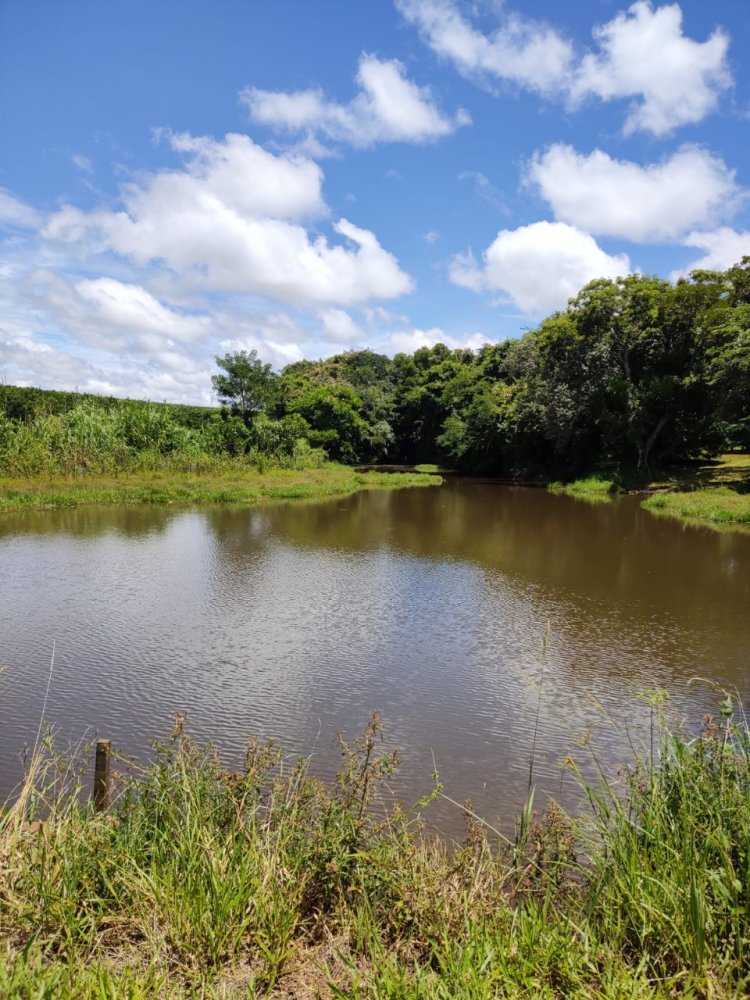 Fazenda - Venda - Rural - Avare - SP