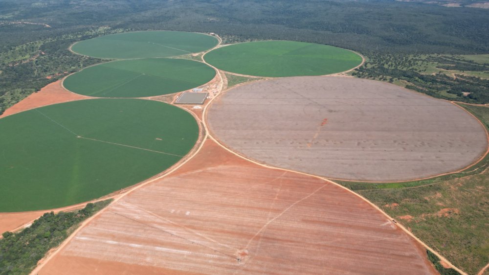 Fazenda - Venda - Rural - Buritizeiro - MG