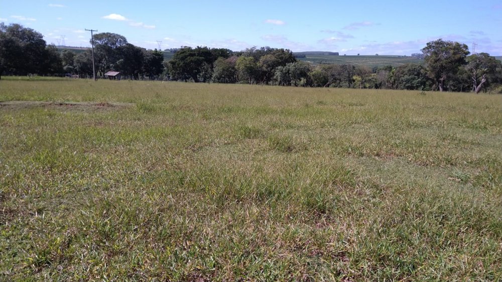 Stio - Venda - Rural - Avare - SP
