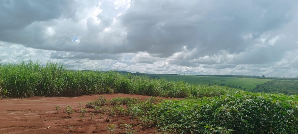 Fazenda - Venda - Rural - Ourinhos - SP
